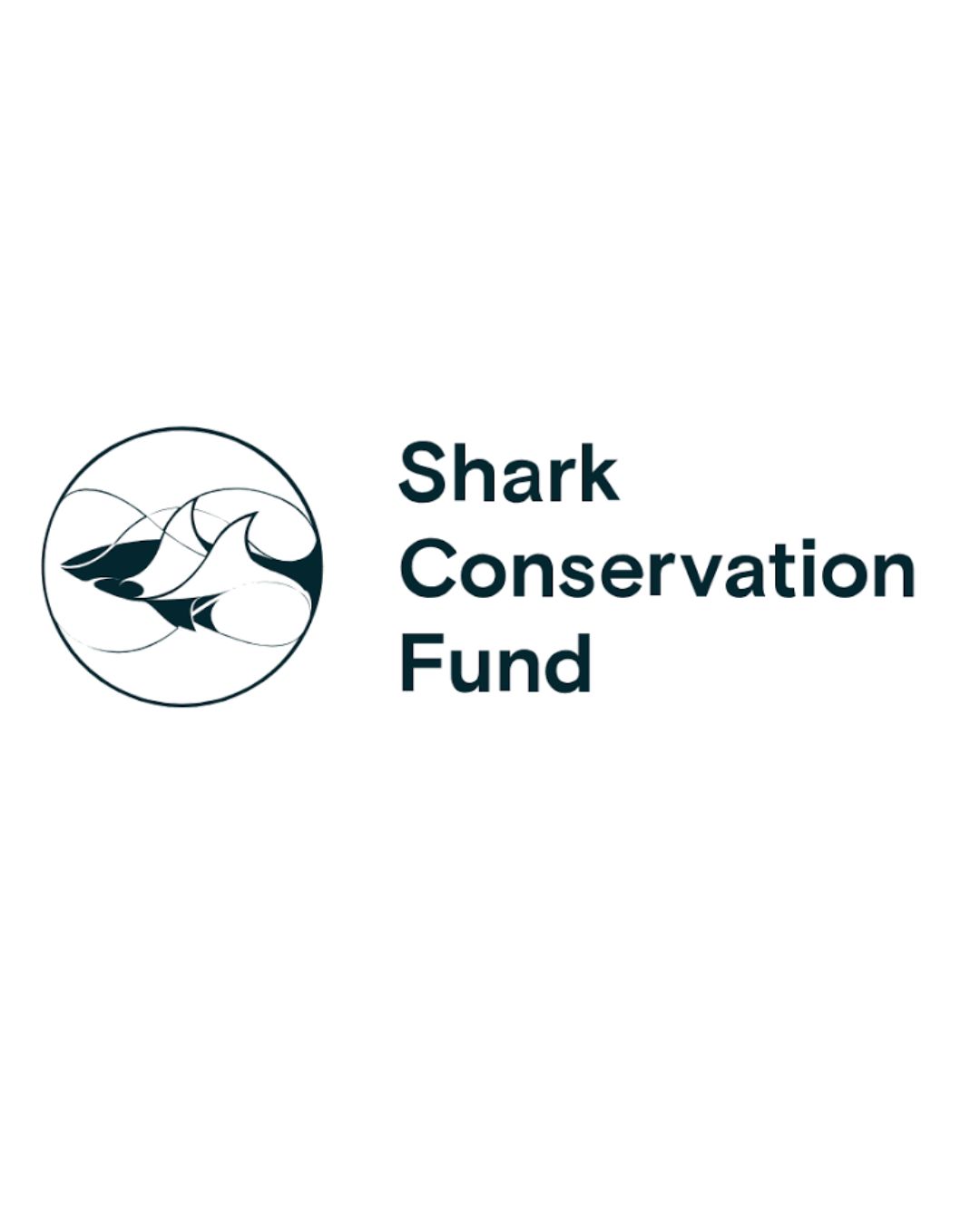 Logo de Shark Conservation Fund