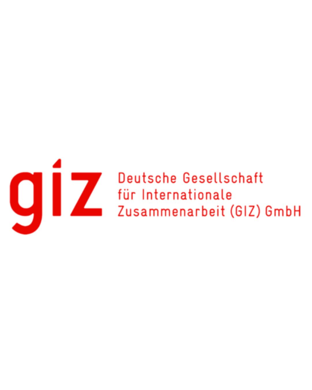 Logo de GIZ