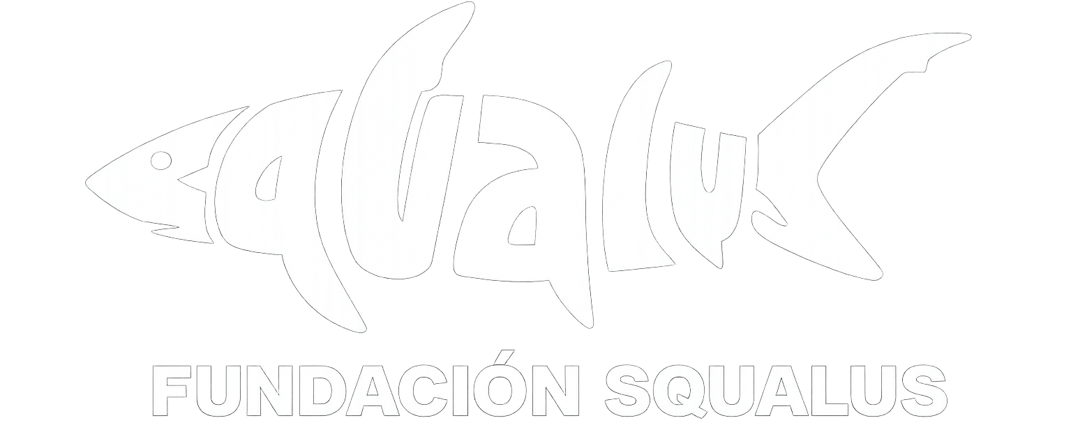 FUNDACIÓN SQUALUS
